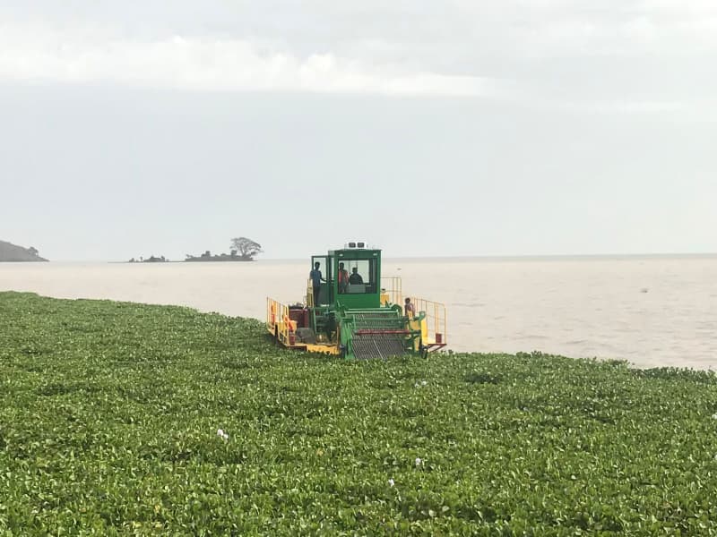 Barco de limpeza automática de água/colhedora de ervas aquáticas/removedor de lixo