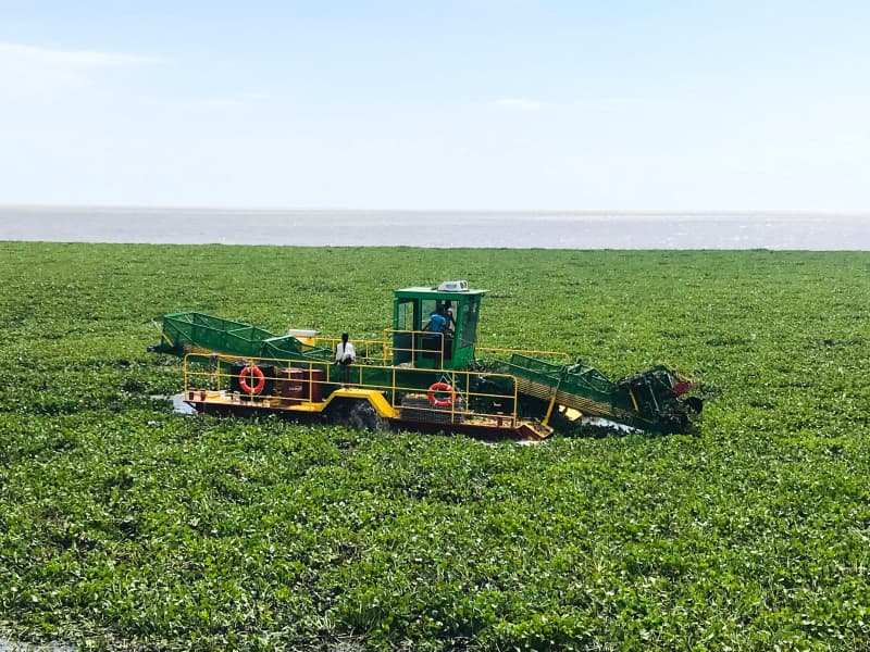 Barco de limpeza automática de água/colhedora de ervas aquáticas/removedor de lixo