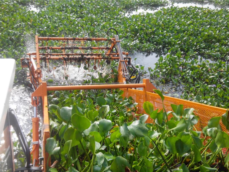 Barco de limpeza automática de água/colhedora de ervas aquáticas/removedor de lixo