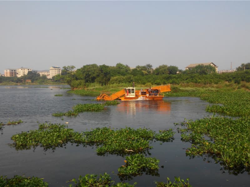 Barco de limpeza automática de água/colhedora de ervas aquáticas/removedor de lixo
